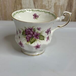 Queens Special Flowers Violets Fine Bone China Tea Cup Rosina China Co England